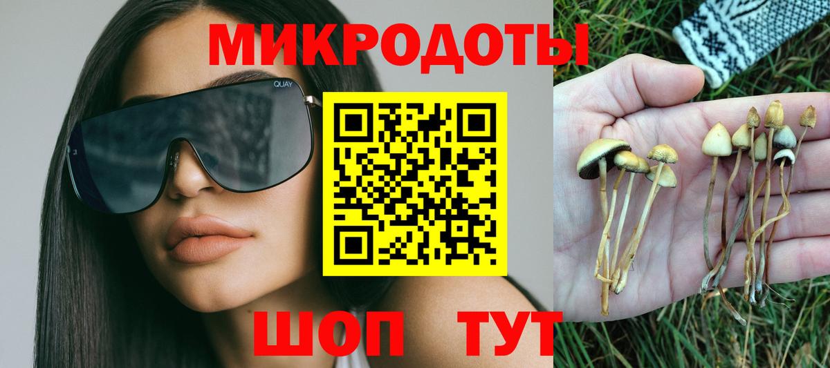 Галлюциногенные грибы GOLDEN TEACHER Дивногорск